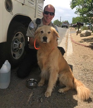 Animal Control Officer with golden retriever