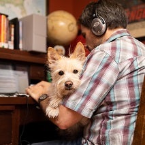 Man in plaid shirt wearing earphones and working on laptop holding little white dog