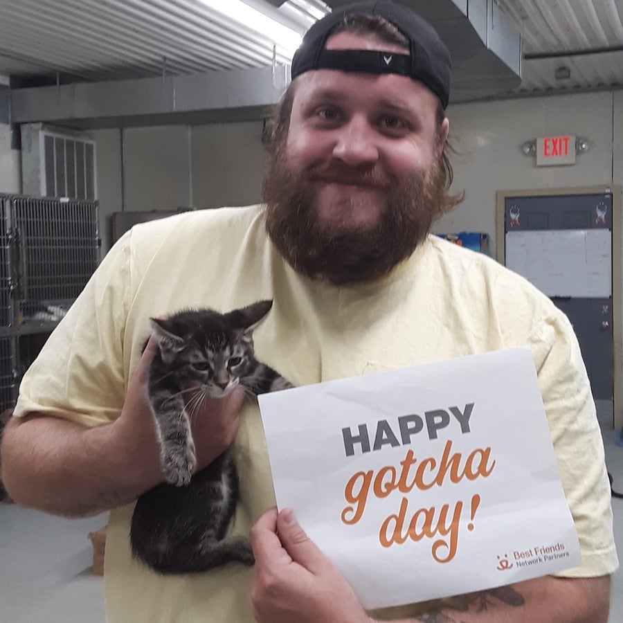 a man with a beard holding his newly adopted kitten with a sign that says "happy gotcha day"