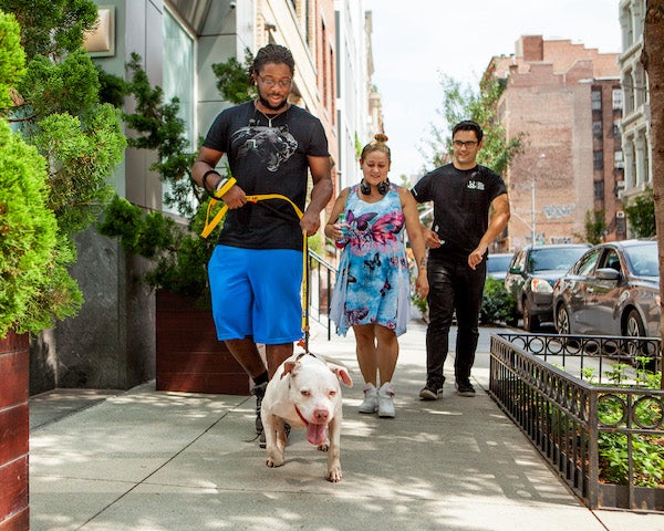 People take a dog for a walk down a city street during an animal adoption event