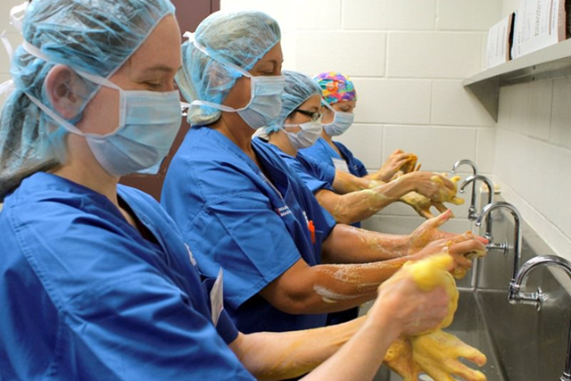 Four vets wash their hands as they prep for surgery