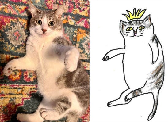 a poorly drawn cat from an animal welfare fundraiser