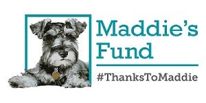 Maddie's logo