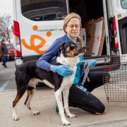 woman with dog at an animal welfare transport
