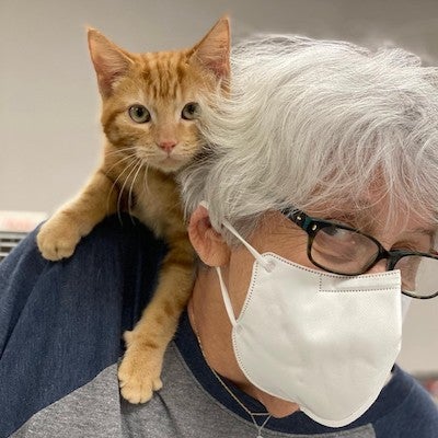 an orange kitten climbing on the shoulders of a person wearing a mask