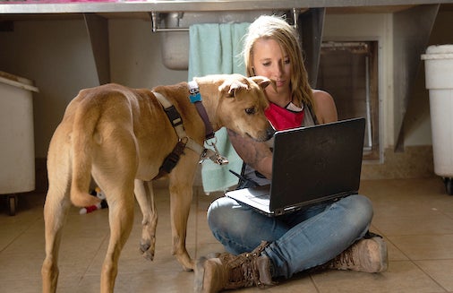 An animal caregiver on the floor using a computer with a dog looking at the screen