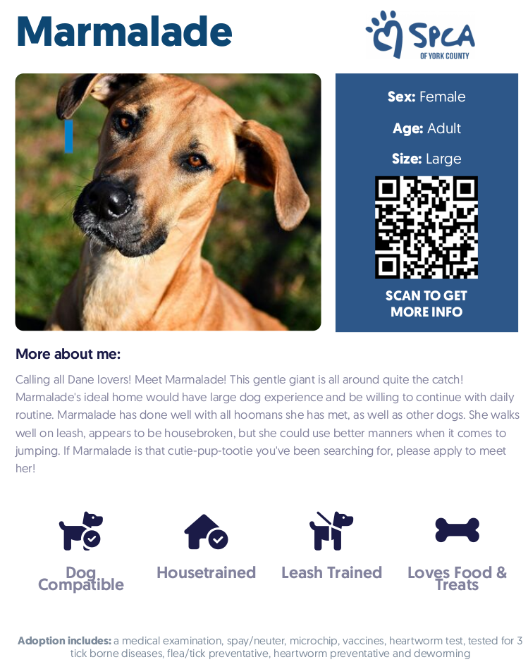 SPCA of York Co Kennel Card Example
