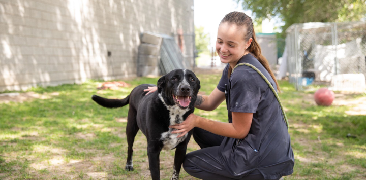shelter animal caregiver with a black dog in a play yard area