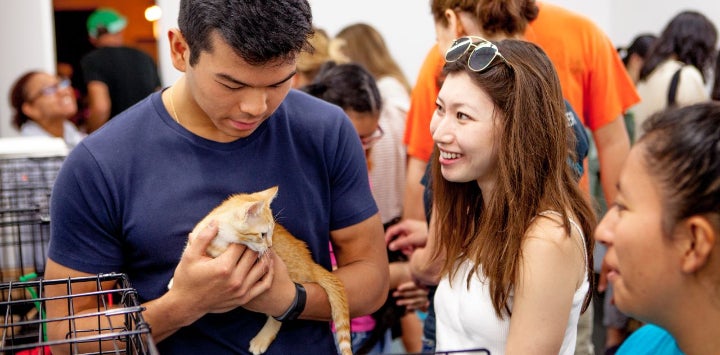 A woman looking at a man holding a kitten during an adoption event