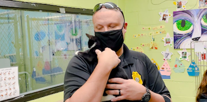 Man in a black mask with sunglasses on his head holding a black and white cat