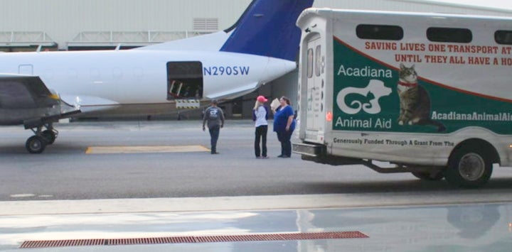 Plane and Acadiana Animal Aid transport van