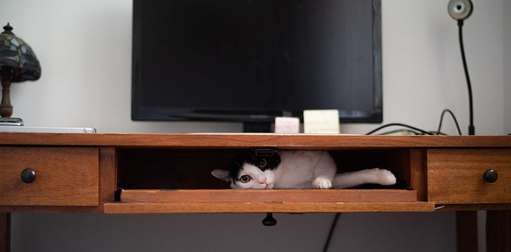 Black and white cat lying in desk compartment under computer