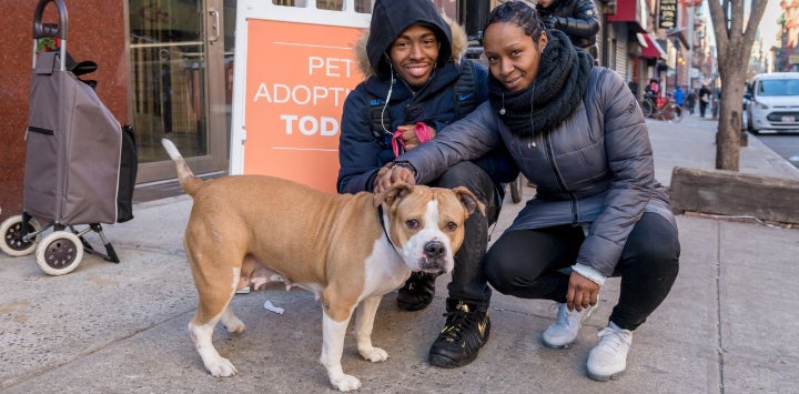 A man and a woman with a dog in front of a Pet Adoption Today sign on sidewalk