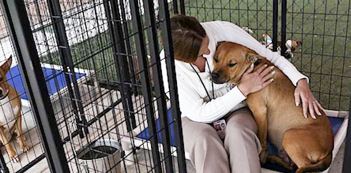 A woman sits in a kennel with her arms wrapped around a dog