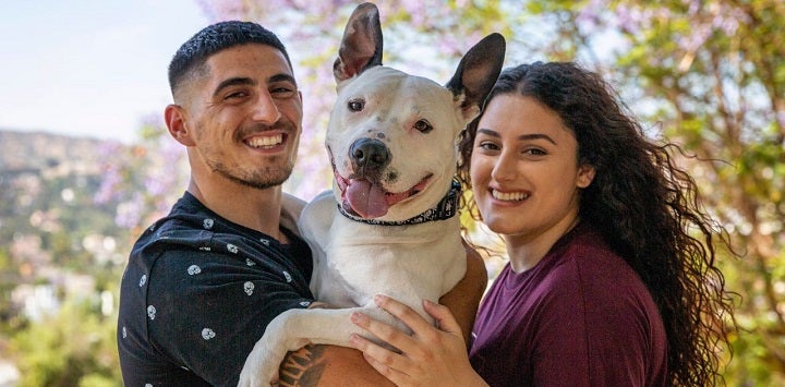 Man and woman holding white pit bull type dog between them
