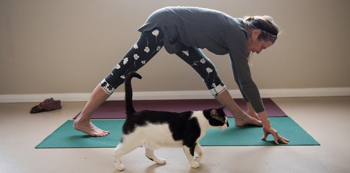 Woman doing yoga on teal mat with black and white cat walking in front