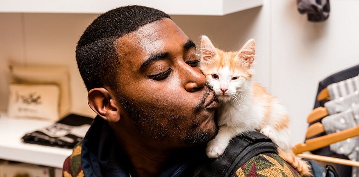Man kissing orange and white kitten sitting on his shoulder