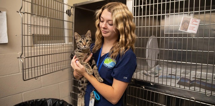 Shelter worker holding cat in front of kennels