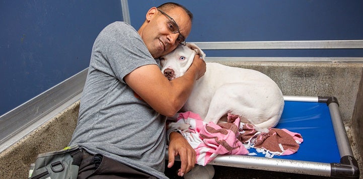 Man in gray shirt hugging white dog on blue and white dog bed