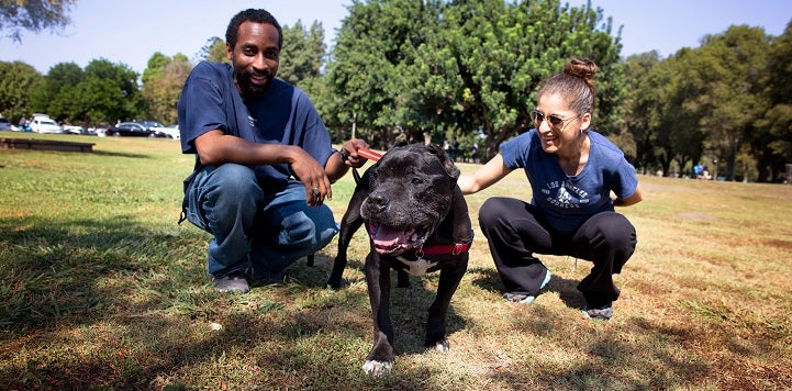 Can dog owners be evicted for not supplying dog poop samples?