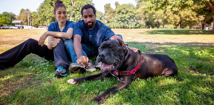 Couple sitting in the grass behind a brown brindle pit bull type dog