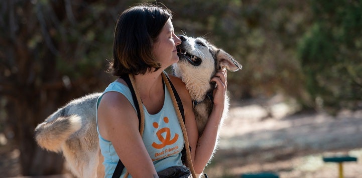 Husky dog standing behind seated woman in tank top sniffing her face