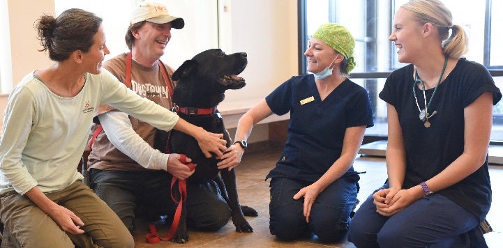 Black dog sitting between three veterinarians and a caregiver