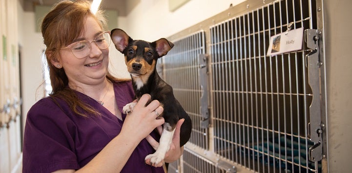 Person in purple scrubs holding small black and brown dog in front of kennels