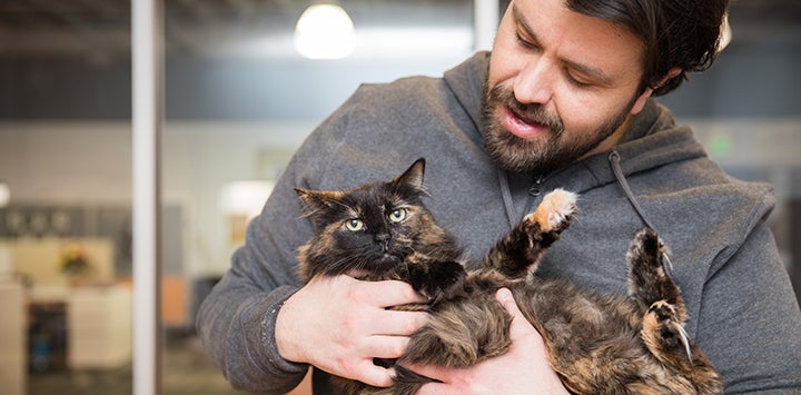 Man cradling his medium hair tortoiseshell cat in his arms