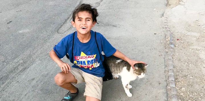 Young boy in blue shirt crouching next to calico cat