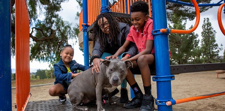 Woman, a boy, and a girl with a gray pit bull type dog on playground equipment
