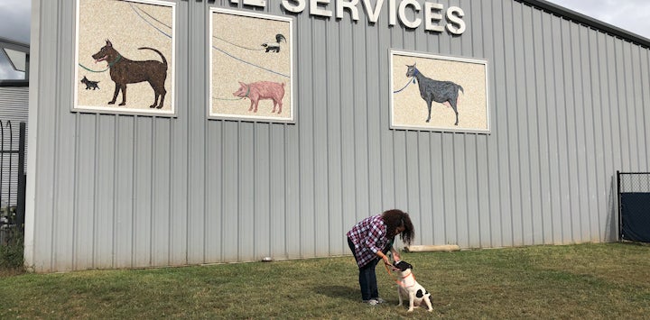 Woman with dark hair bending down to pet black and white dog in front of gray building