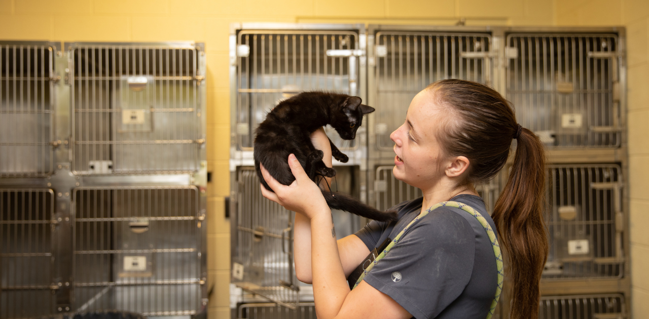 woman holding a kitten up in a shelter