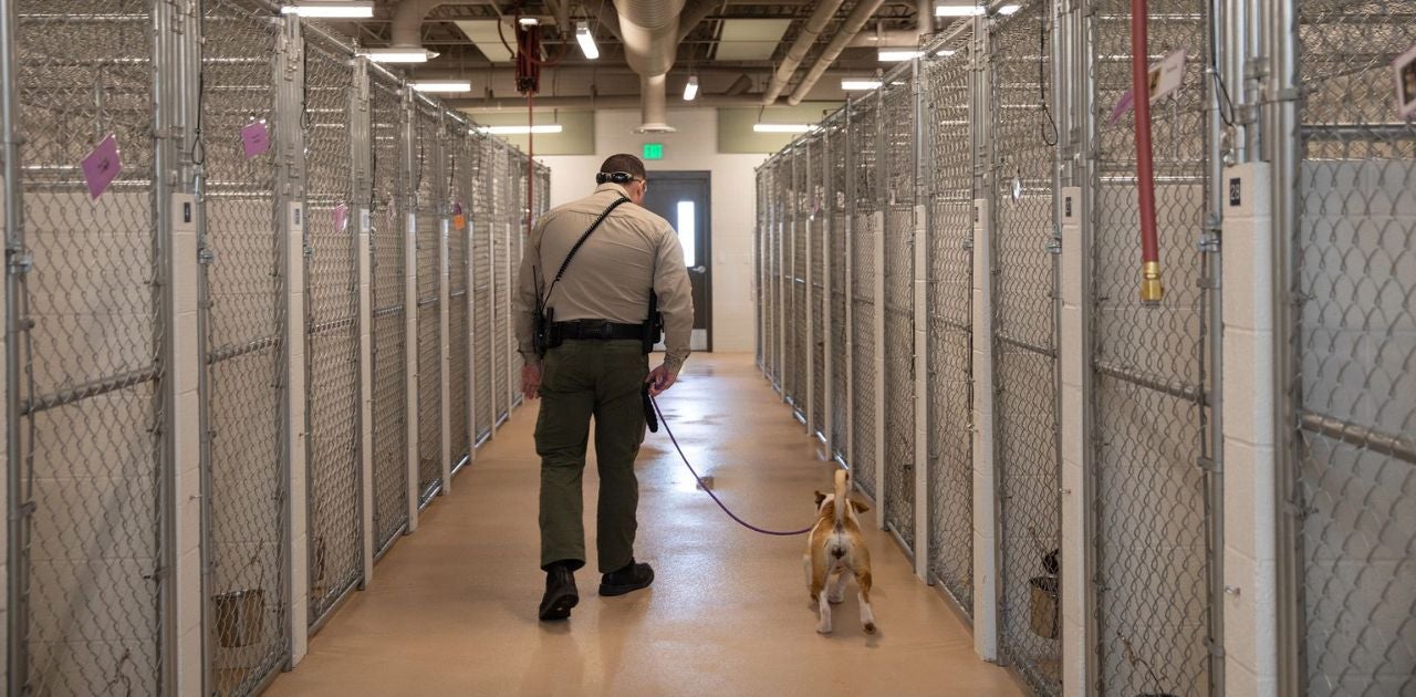 ACO and dog walking out of a shelter