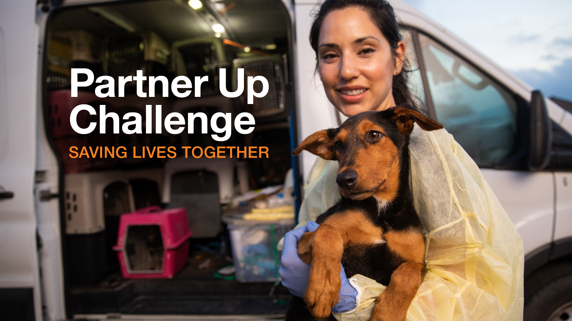 woman holding puppy outside van for transport