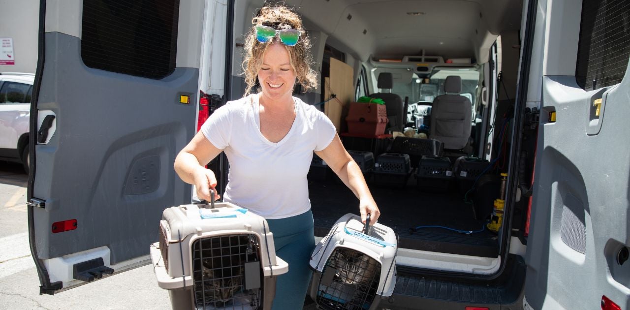 Transporting crated animals out of a van