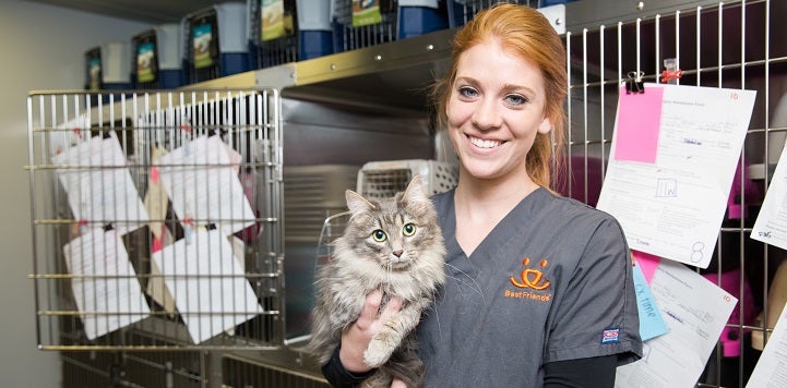 Woman in gray scrubs holding cat in front of kennels