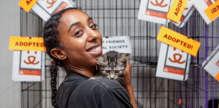 woman holding tabby kitten in front of many adopted signs