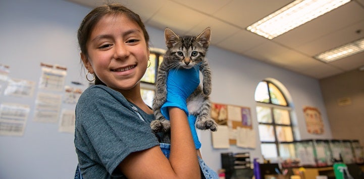 Young girl in dark gray shirt holding tabby kitten