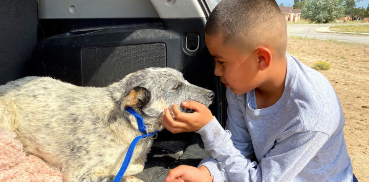 Child holding up dog's chin in back of car
