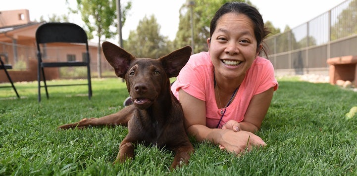 Woman in pink top laying on stomach in grass next to dark brown dog with ears up