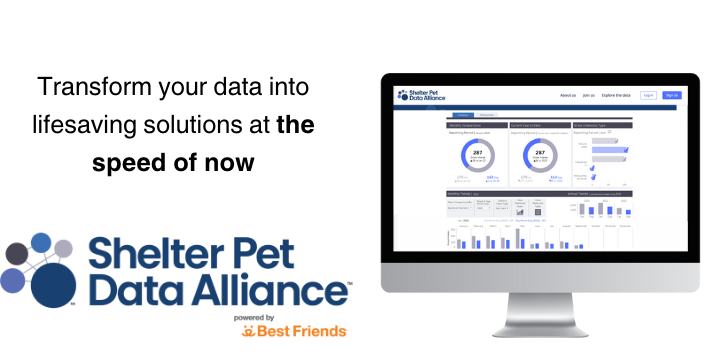 A computer with a mockup showing the shelter pet data alliance platform