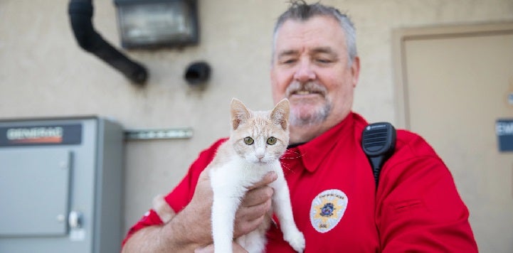 Animal Control Officer in red shirt holding an orange and white kitten