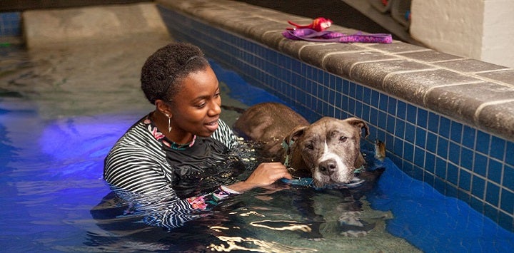 Woman in pool with brown pit bull dog to her right