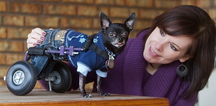 Special and Snazzy: Photo tips for capturing fabulous photos of special-needs animals