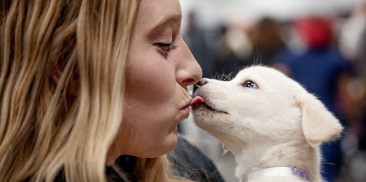 Female Kissing Dog
