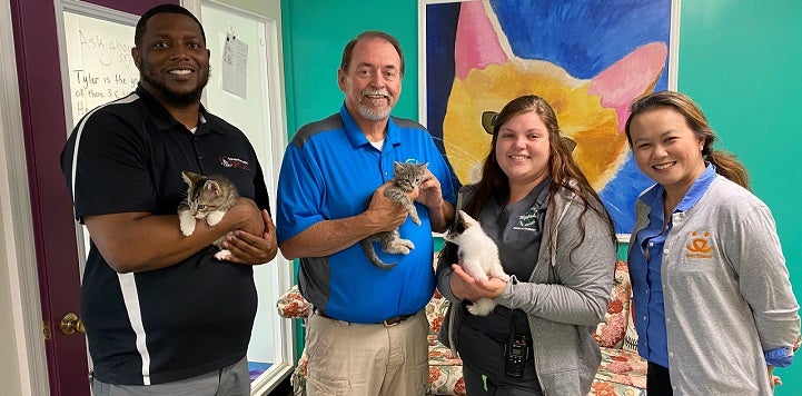 Four people, two holding cats, standing together in building