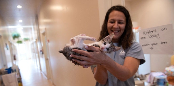 Woman wearing gray shirt cradling tabby kitten in hands