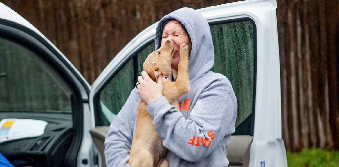 A puppy licks the face of a person wearing a hoodie in front of an open car door