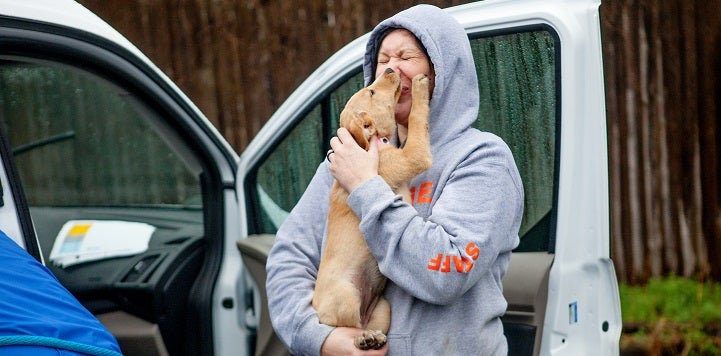 Woman in gray sweatshirt with hood up being licked in the face by tan puppy